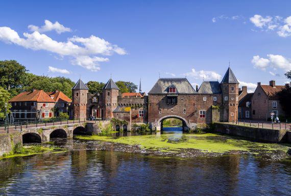 bedwantsenbestrijding-amersfoort