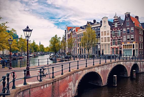 bedwantsenbestrijding-amsterdam