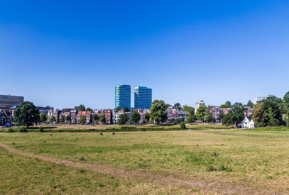 bedwantsenbestrijding-arnhem
