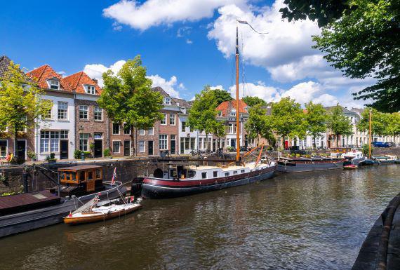 bedwantsenbestrijding-den-bosch