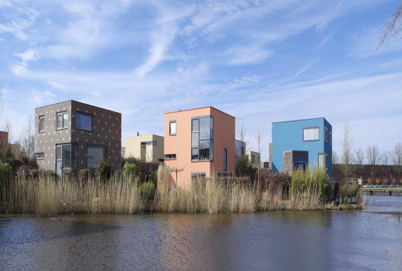 bedwantsenbestrijding-enschede