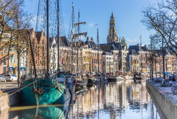 bedwantsenbestrijding-groningen