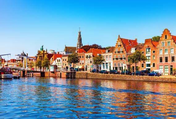 bedwantsenbestrijding-haarlem