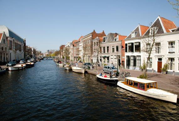 bedwantsenbestrijding-leiden