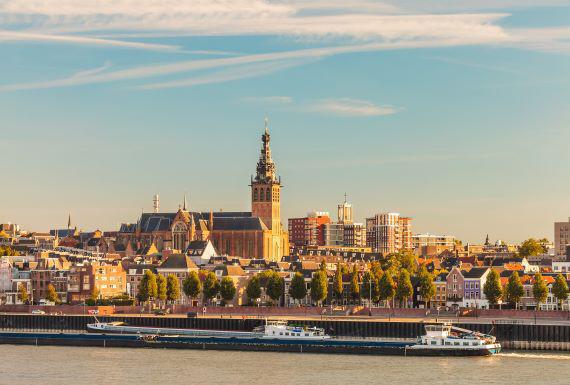 bedwantsenbestrijding-nijmegen