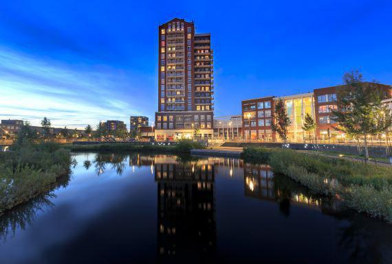 bedwantsenbestrijding-zoetermeer